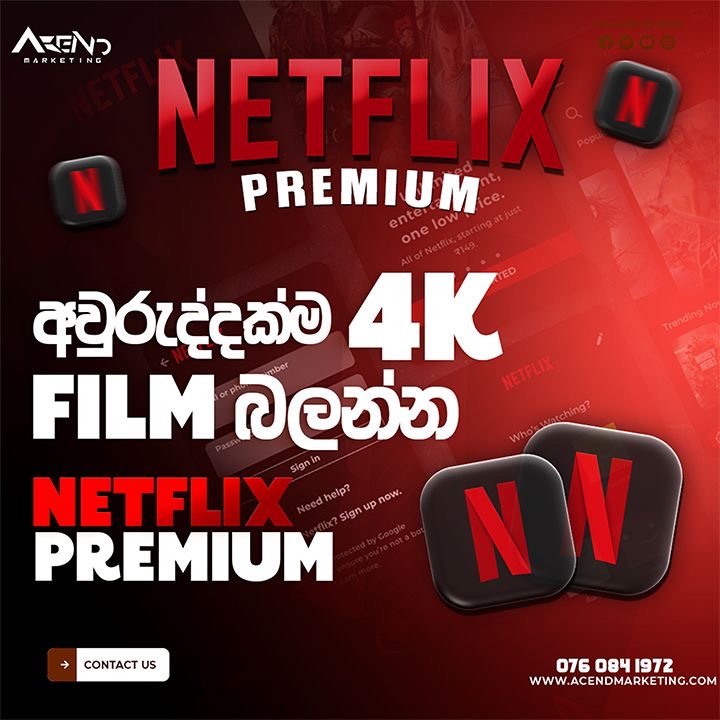 Netflix Premium – 1 Year